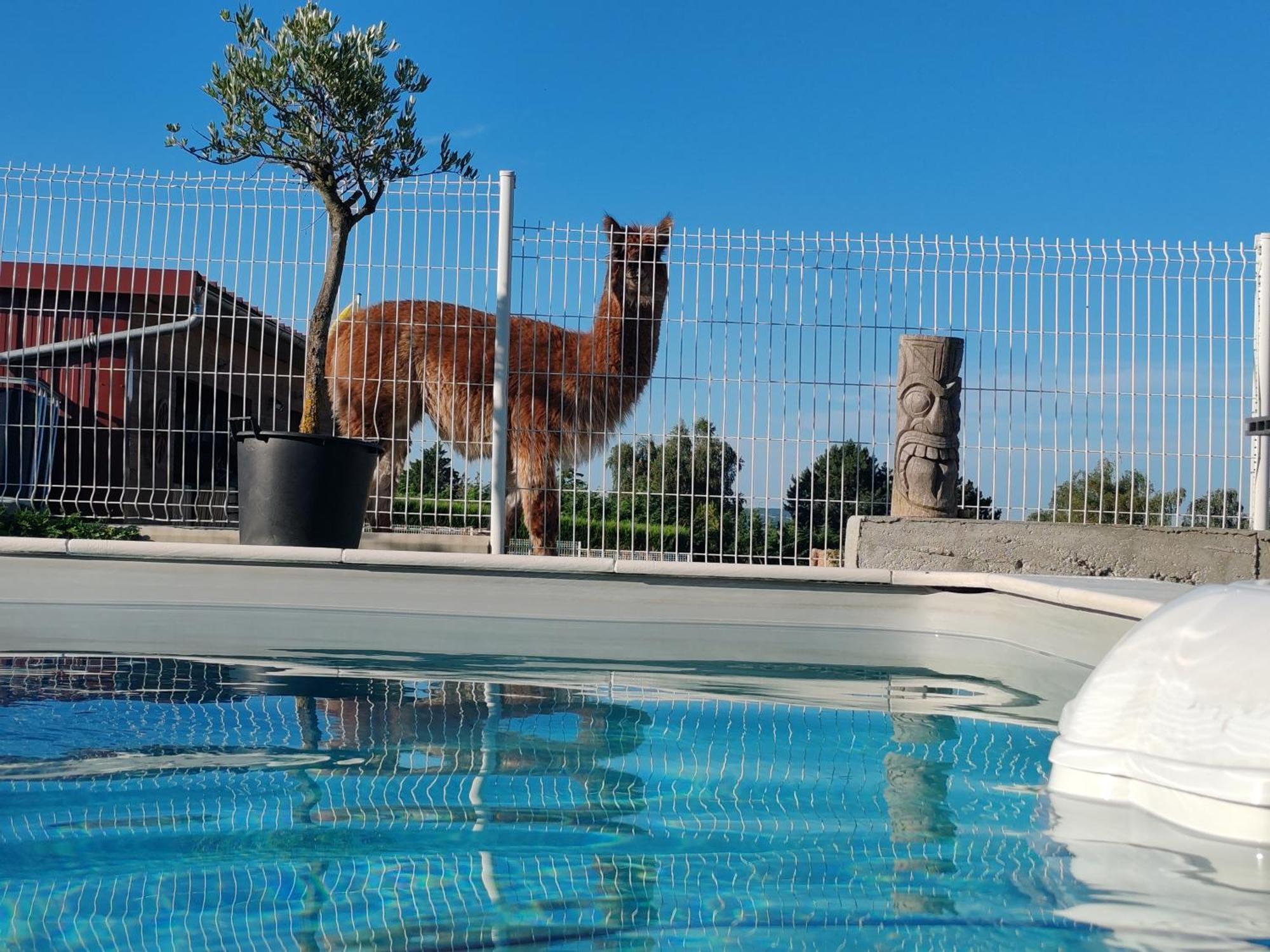 Casa vacanze Tiny House Des Bougnats Teilhede