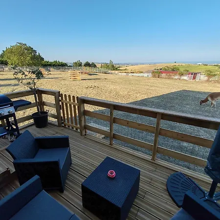 Villa Tiny House Des Bougnats à Teilhede Extérieur photo